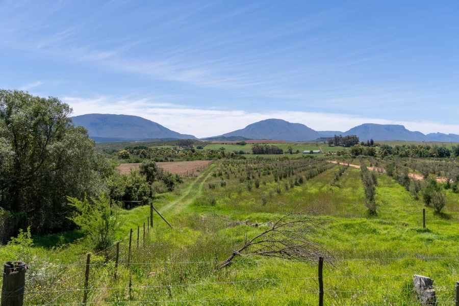 0 Bedroom Property for Sale in Riversdale Rural Western Cape